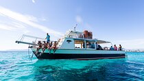 Boat Tour 2 hour in Palma Bay