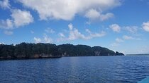  Full-Day Boat Tour of Los Haitises National Park