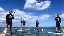 Semi Private Stand Up Paddle Boarding (SUP) Class at Kalama Beach in Kihei