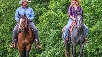 Private Sunset Horse Ride in Cordova