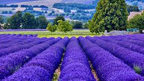 7-day Private Burgundy Wine tastings, Provence, Nice, Monaco Tour