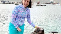  Seal Island, World of Birds and Cape City Center Tour.