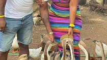 Animal Farm (Mini Zoo) , Bamboo Rafting and Limestone Massage Private Tour