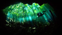 Cenote Diving - 2 Tank Dive Trip for Certified Divers