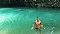 Blue Hole and Dunn’s River Falls Tour with Lunch and Cocktails at Reggae Hill