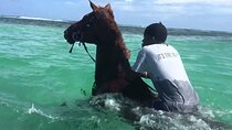 Martha Brae Rafting, Horseback Riding and Luminous Lagoon - Triple Treat 