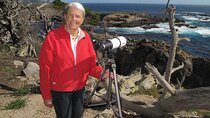 Guided 2-Hour Point Lobos Nature Walk