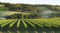 Mornington Peninsula Wine Day Tour 