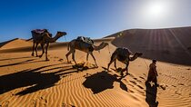 3 Days Sahara Desert Tour from Marrakech to Fes