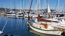 Muir Woods, Sausalito, Marin Headlands, Lighthouse Private Tour 