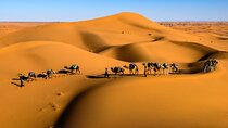 Overnight Sahara Tour from Marrakech to Mhamid