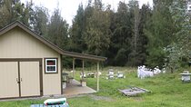 Private 2-Hour Beekeeping Classroom Tour in Honokaa