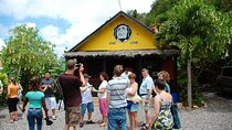 Bob Marley Birthplace, Nine Miles Tour from Ocho Rios