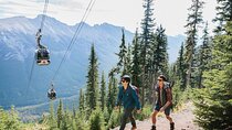 3-Day Rockies Express Tour Package: Banff, Lake Louise and Yoho