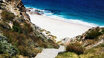 Cape Point Xplorer