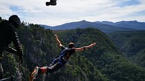3 Day Garden Route Safari