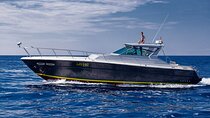 Private transfer from Hvar town to Dubrovnik