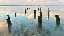 Private Transfer from Cancun to Akumal with Sightseeing