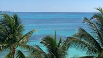 Half-Day Private Day Trip From Akumal to Cancun