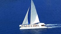 Full Day Excursion to Isla Saona from Punta Cana