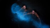  Luminous Lagoon Night Tour from Montego Bay