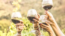 4 Hours Private Wine Tour in Sedona