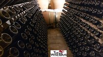 Private Irpinia Wine Tour from Sorrento with sommelier