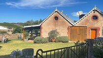 Private Mclaren Vale Wine Tour 