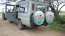 5 days nothern Tanzania camping Safari 