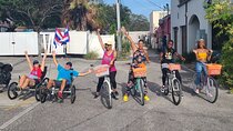 Historical Bicycle Tour of Dunedin