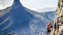  7 Days Cape Town Highlights Tour