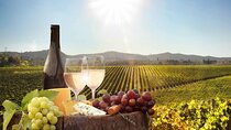 Full Day Wine Tour From Cape Town