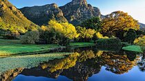  Best of the Cape Tour - Cape Peninsular and Winelands