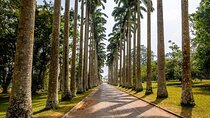 Aburi Botanic Gardens and Boti Falls Full-Day Private Tour