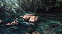 MOSSMAN GORGE TRANSFER between Port Douglas and Mossman Gorge (return)
