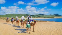 Camel Ride & ATV Combo in Migriño, Mexico