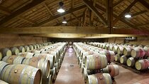 Half-Day Cotes du Rhone Private Wine Tour from Lyon