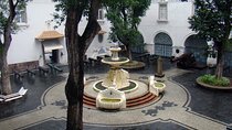 Half-day Portuguese Royal Family Tour in Rio