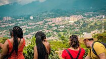 Half-Day Coffee Tour: From the Seed to the Cup, Farm & roastery 