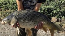 Introduction to fishing in Strasbourg 