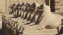 How To See Everything In 2 Days From Cairo To Luxor -Aswan -Abu Simbel By Plane