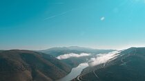 Private Full Day Douro Tour with Lunch