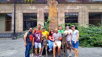 Mexico City: Gay Plazas