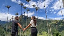 Cocora Valley Tour and Santa Rita Waterfall