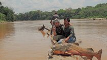 Manu Reserve Zone Tour + Jaguar and Macaw clay lick 7days
