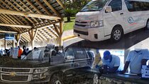 Transportation from Punta Cana Airport TO Punta Cana Hotels