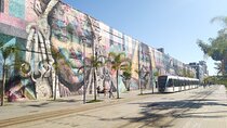 Little Africa: Historical & Heritage Tour of Rio de Janeiro
