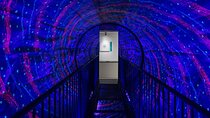 Dubai Museum of Illusions with Private Transfers