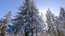 From Krakow: Zakopane & Chocholowskie Thermal Baths