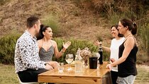 Alella Wine Tasting Private Tour with Picnic Lunch & Hotel Pick 
